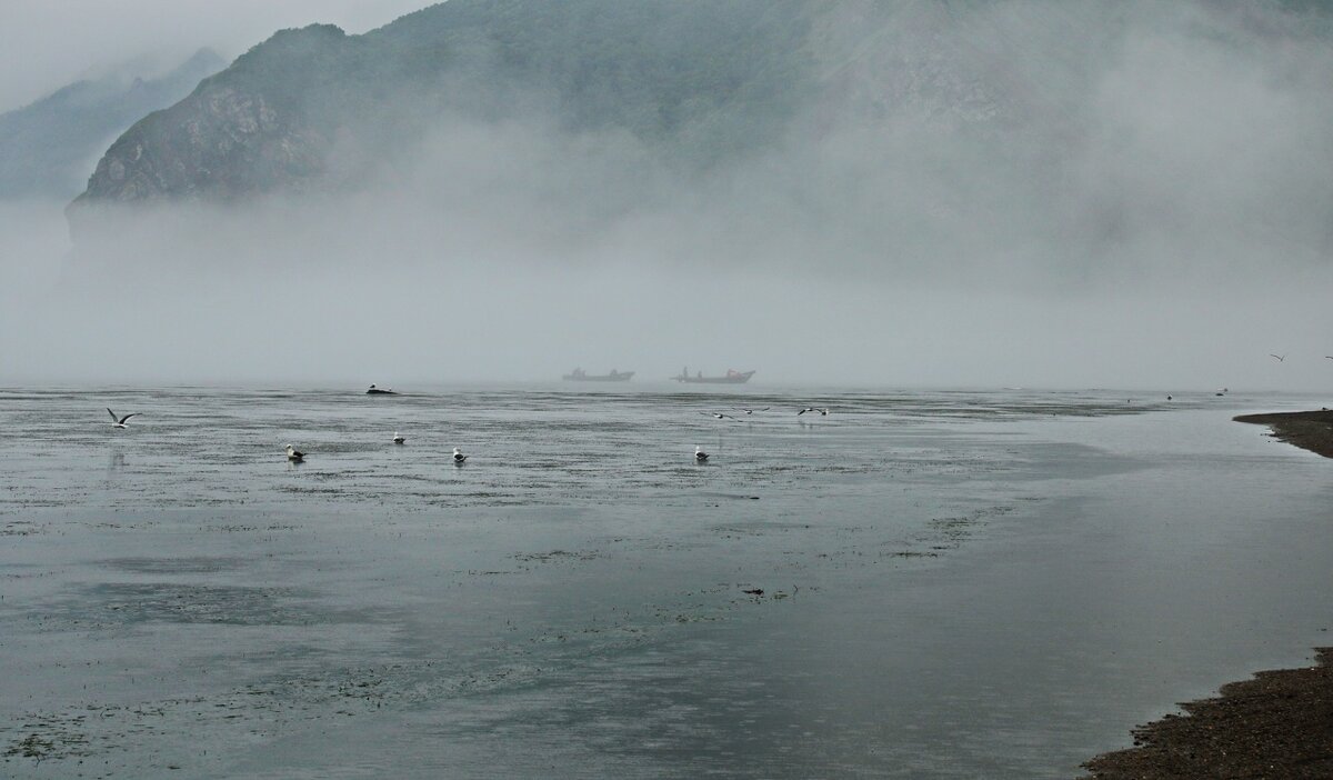 Возвращение рыбаков. - Ирина Нафаня