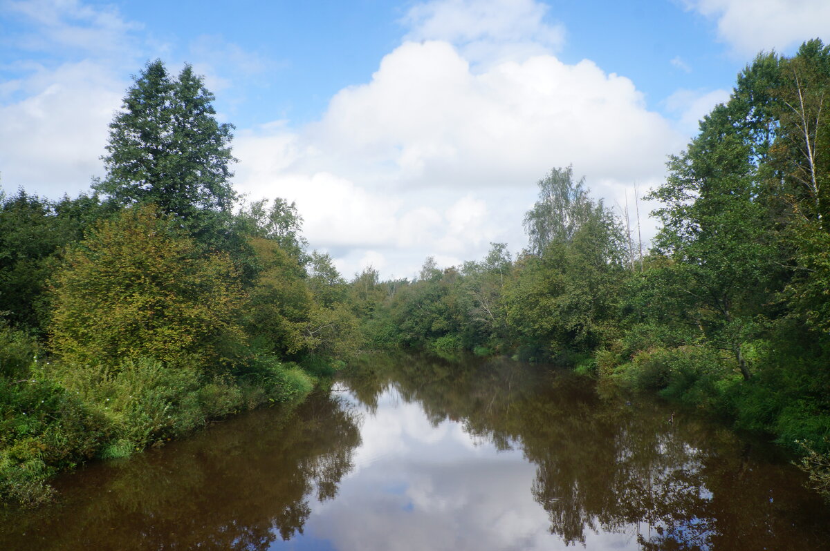 река Сестра - zavitok *