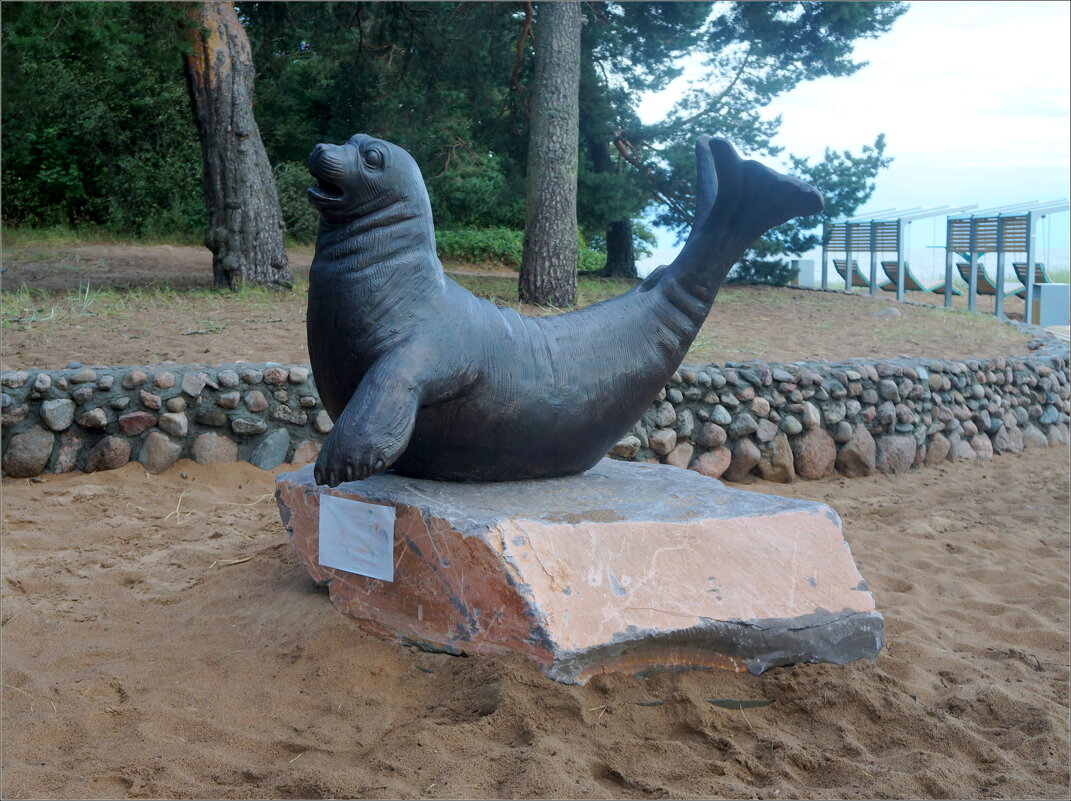 балтийская нерпа - zavitok * балтийская нерпа - zavitok *