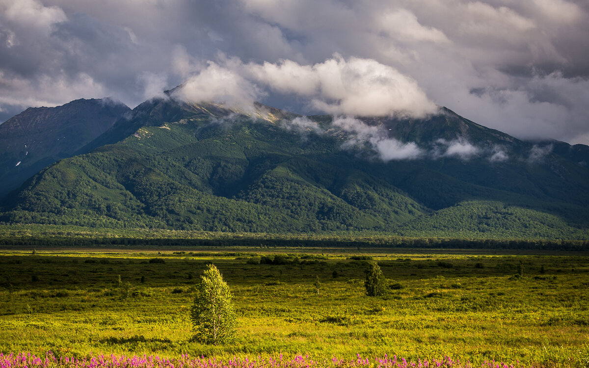 ... - Жора Житников