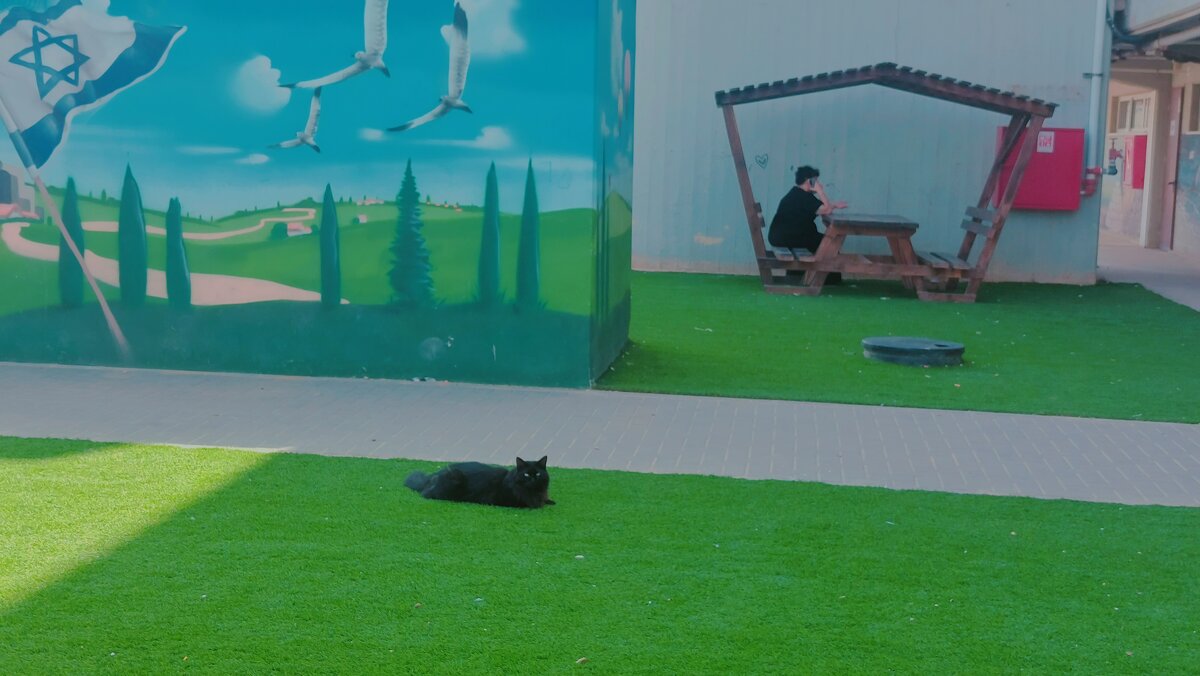 13  ОПЕН (232) - OPEN WAYS ALL