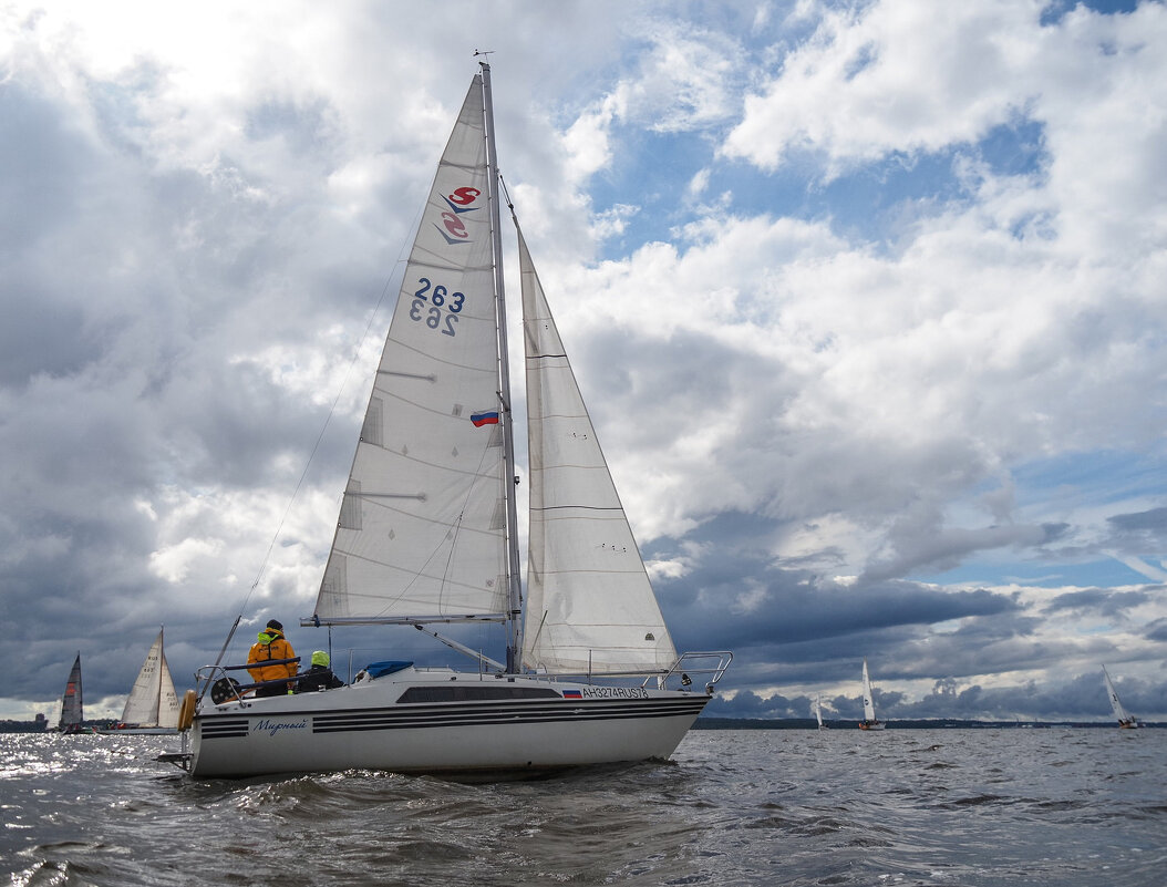 Регата - Магомед .