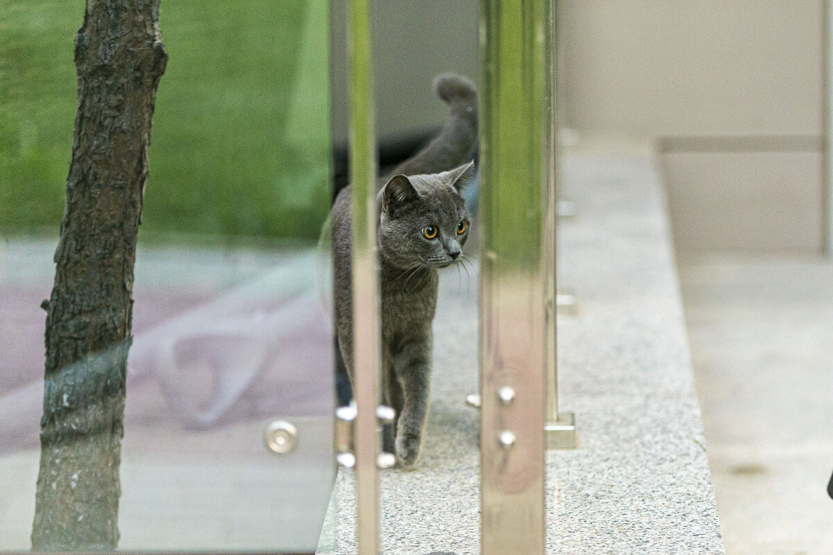 пограничник - Солтан Жексенбеков