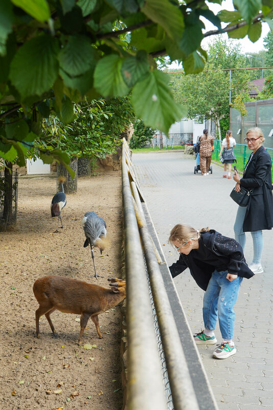 ДАВАЙТЕ - Сергей Янович Микк