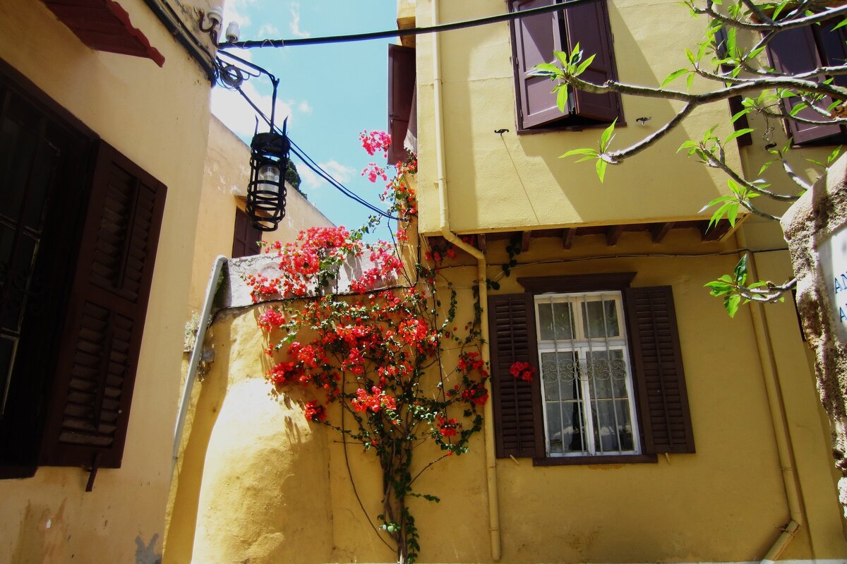 Родос - Натали 