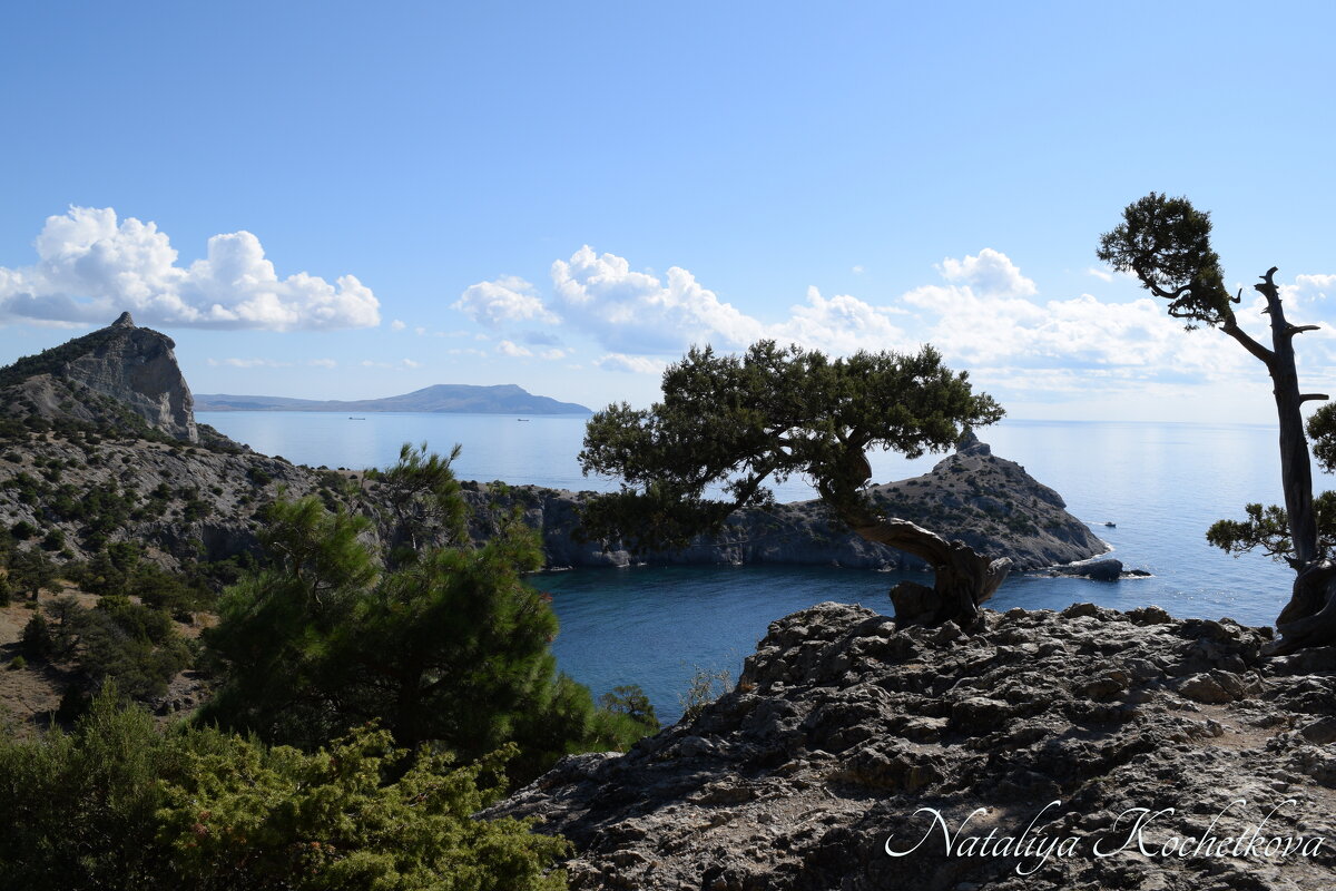 Природа Крыма - Amazing Cosmea