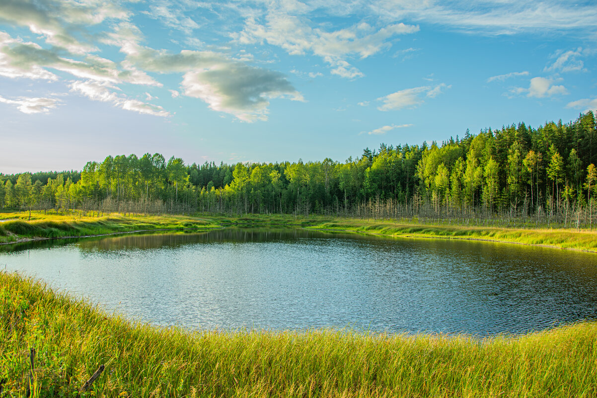 Карстовые озера,Новгородская область - Александр Филатов