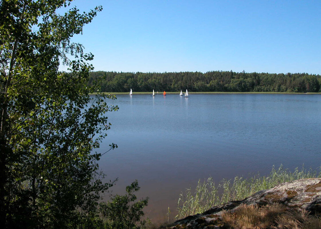 Утро на Ладоге - Наталья Лунева 