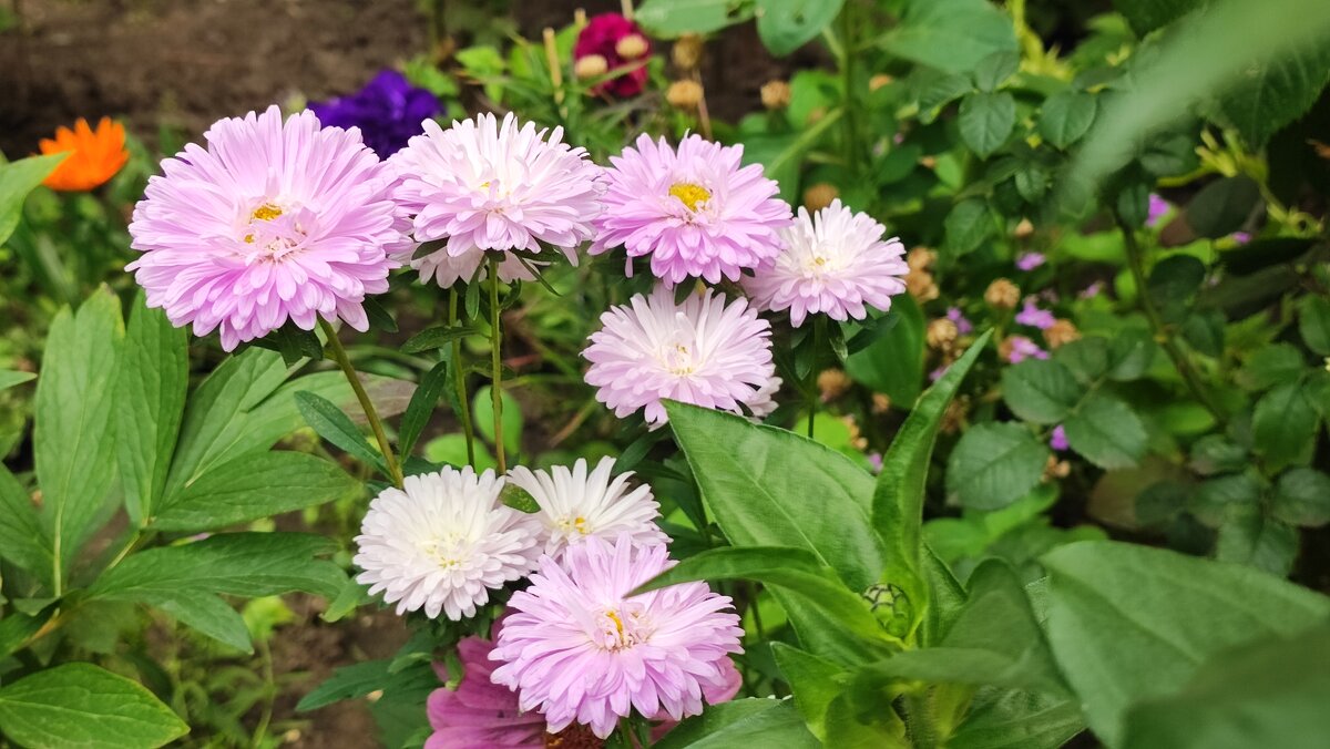 ,,, - Сергей Тимоновский