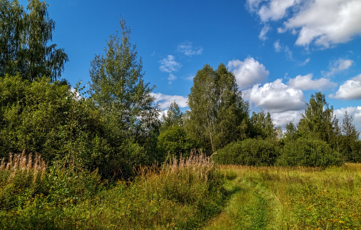 Вторая половина Августа 9 - Андрей Дворников