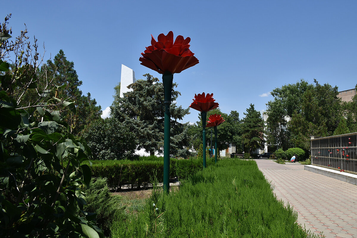 Гвоздики в парке - Александр 