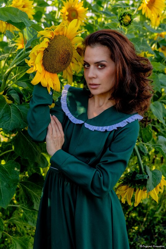 Портрет с подсолнухом - Евгений Ермаков Портрет с подсолнухом - Евгений Ермаков