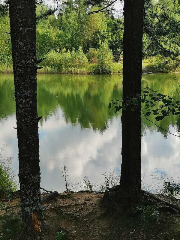 Водная гладь и отражение - Любимова Ольга 