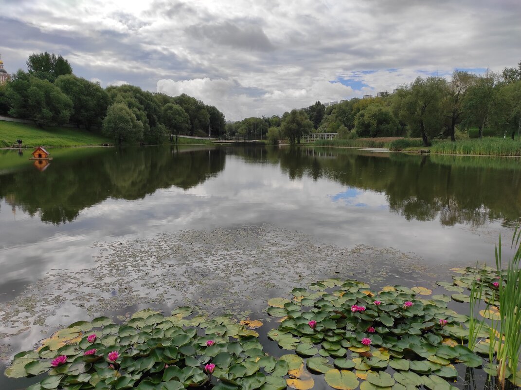 Лето прошло... - Игорь Ч.