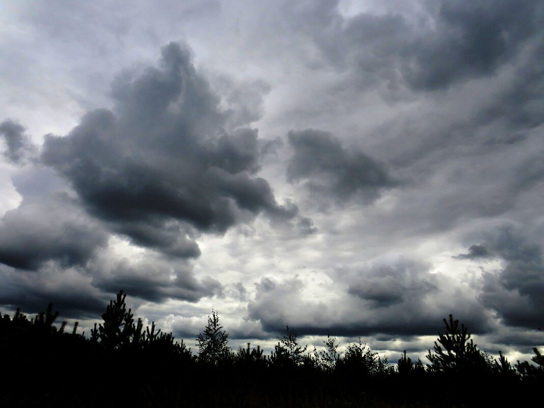 Свинцовое небо - Андрей Снегерёв
