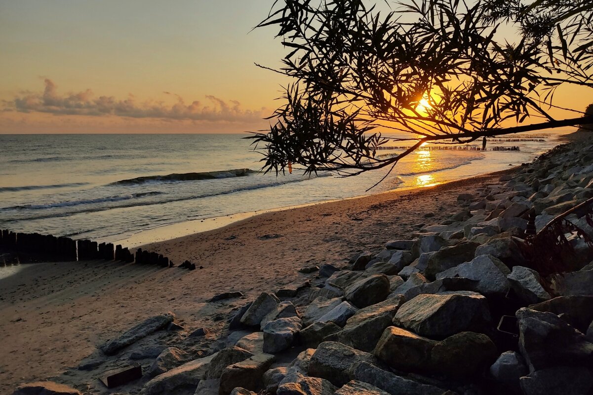 Утро - Юрий. Шмаков