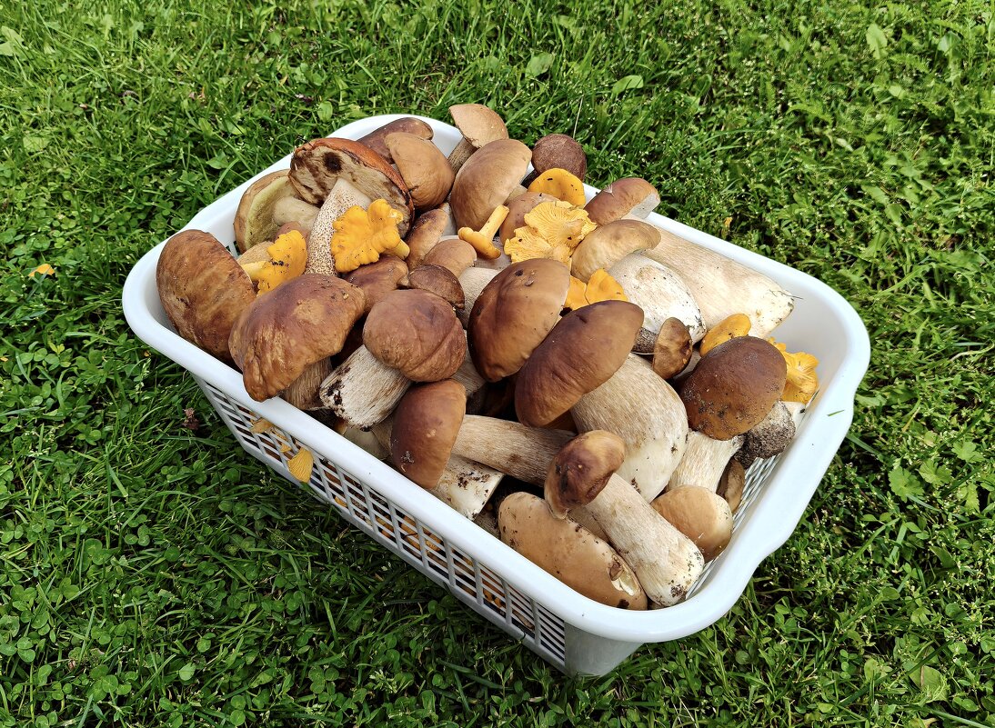 Для души - Валерий Судачок