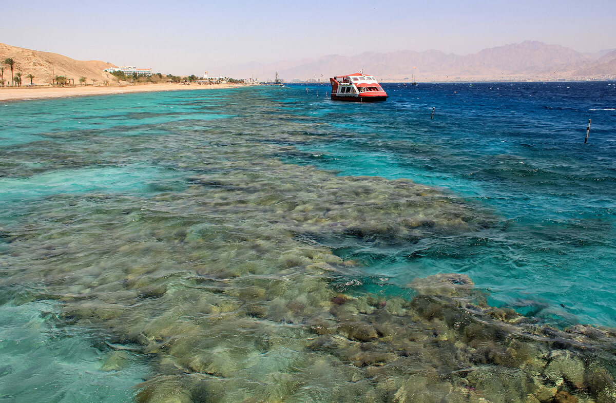 Красное море - Светлана Карнаух