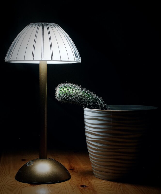 Ностальгия - Леонид leo