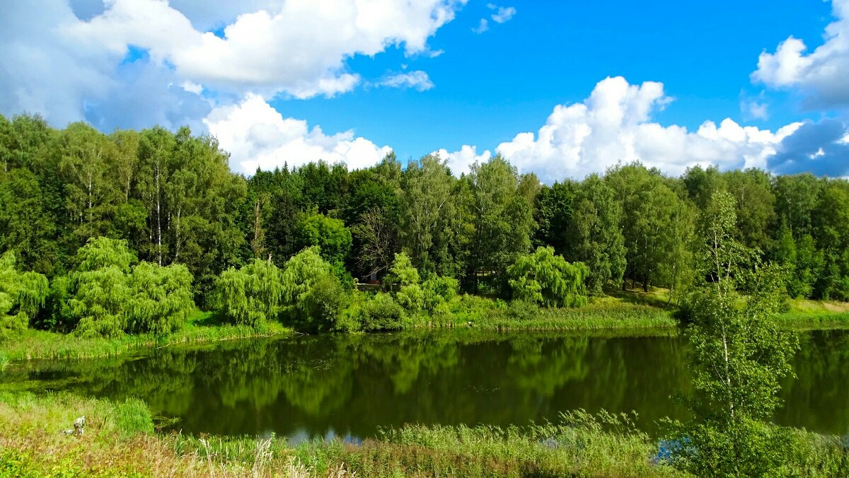 Смоленская область в конце лета. - Милешкин Владимир Алексеевич Смоленская область в конце лета. - Милешкин Владимир Алексеевич