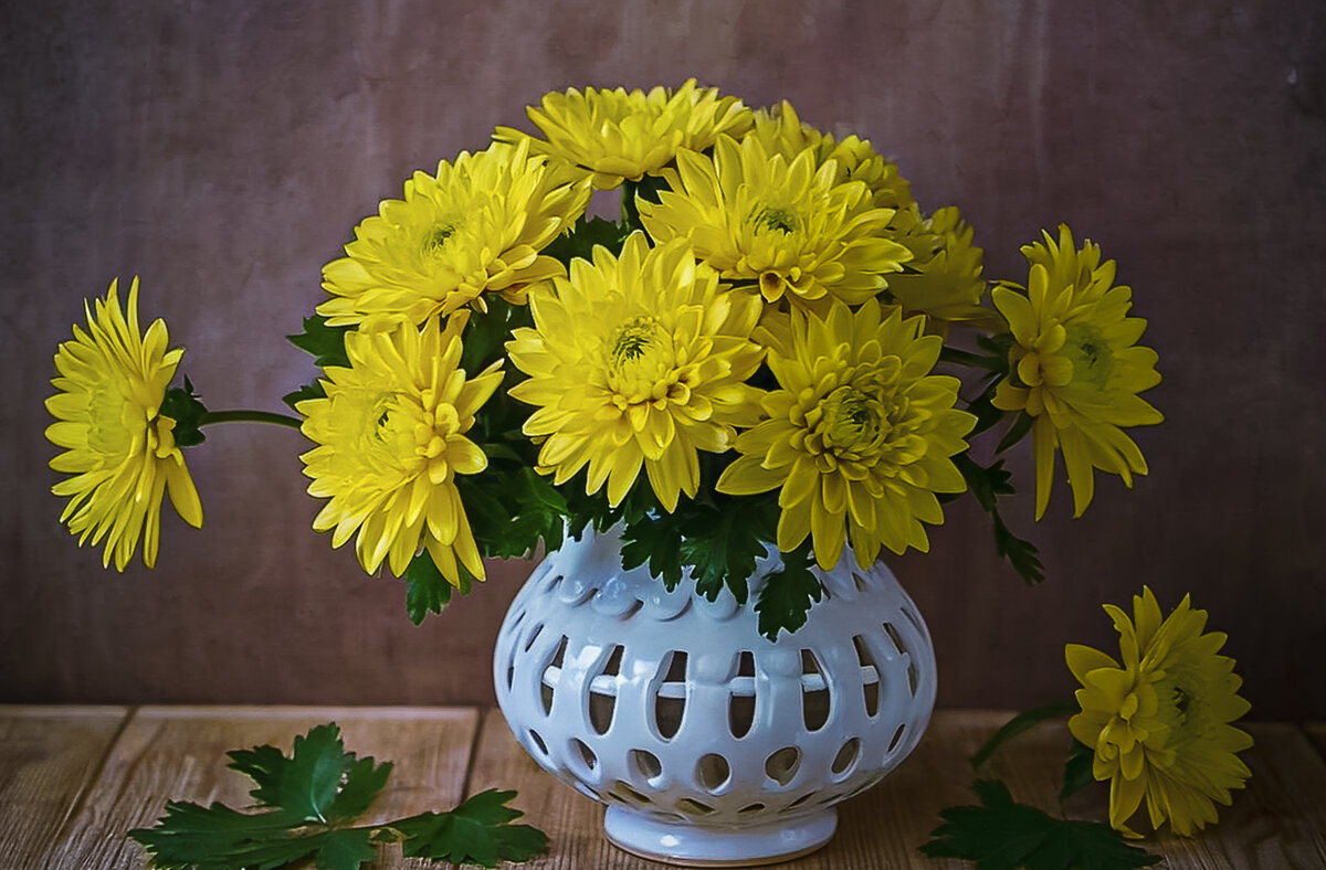 Хризантемы - Aleksey Afonin