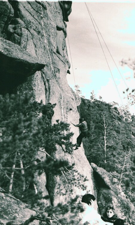 Вертикаль - Георгиевич 