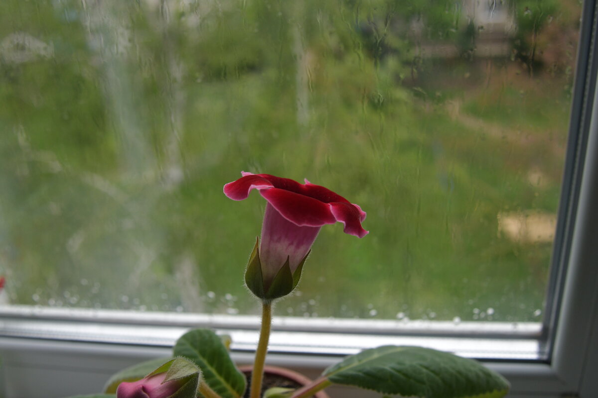 ... - Алексей Зеленцов ... - Алексей Зеленцов