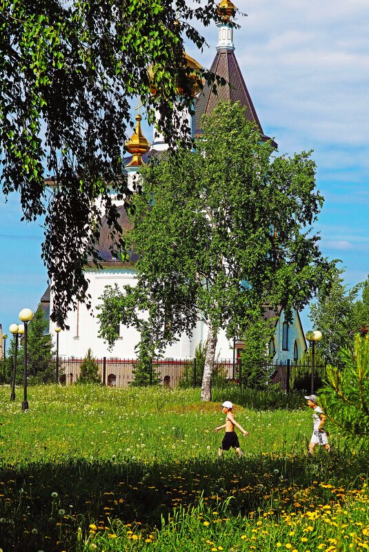 Июнь...Под сенью зеленых берез! - Владимир 