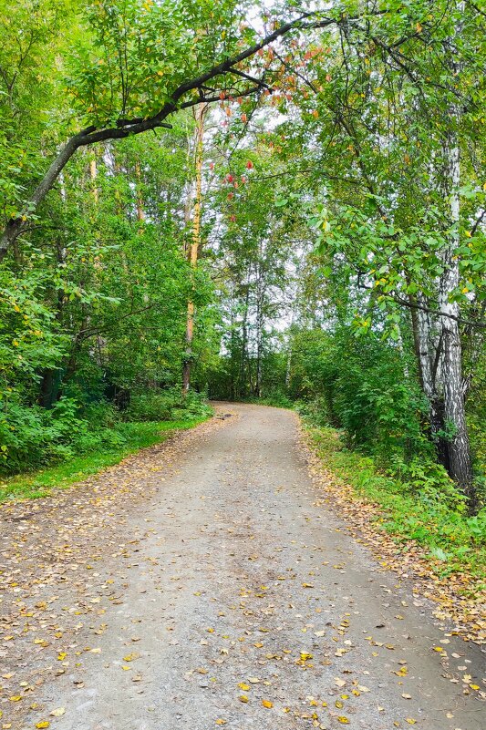 Осень, - она не спросит.... - Татьяна Лютаева