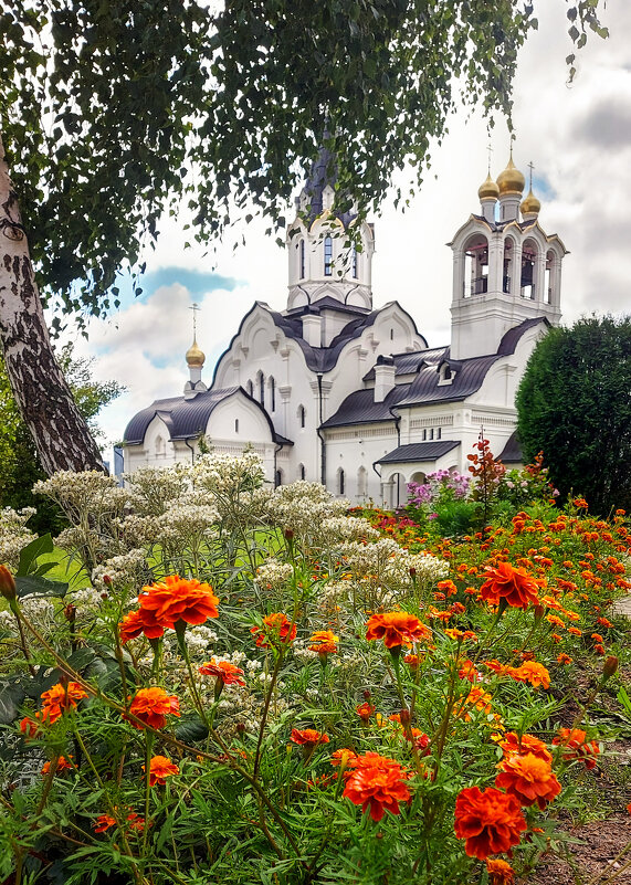 *** - Владимир Безбородов