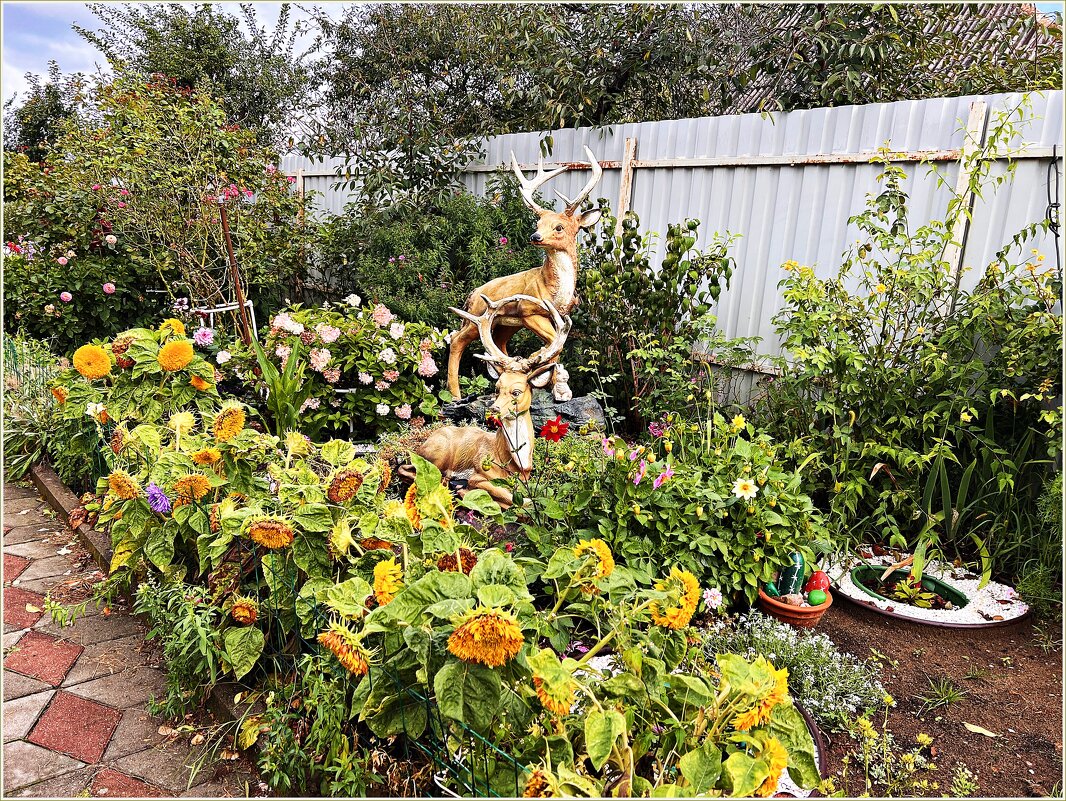 Палисадник. - Валерия Комова