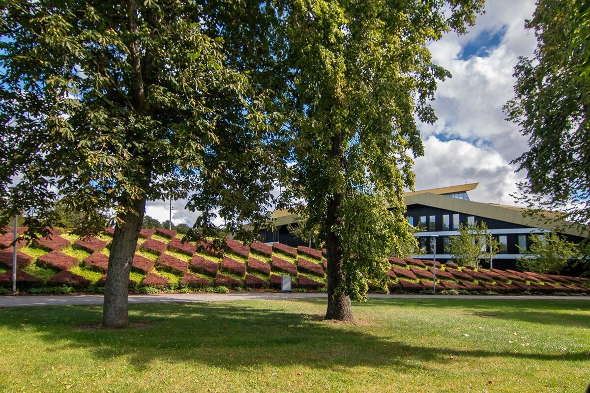 *** - Геннадий Порохов