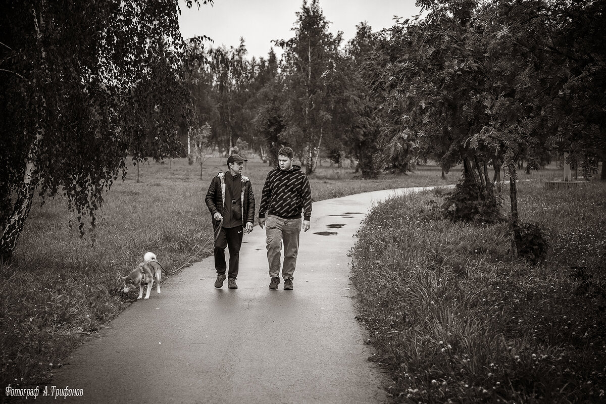 Разговор во время прогулки - Алексей Трифонов