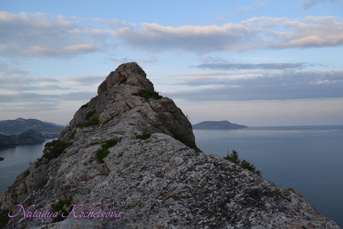 Природа Крыма - Amazing Cosmea