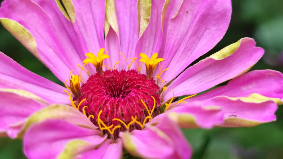 ,,, - Сергей Тимоновский