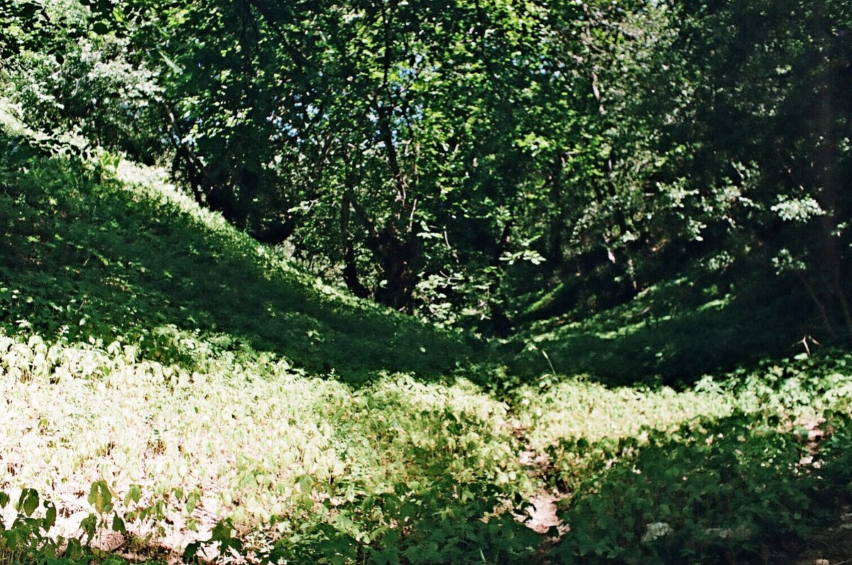 ДОЛИНА. - Виктор Осипчук