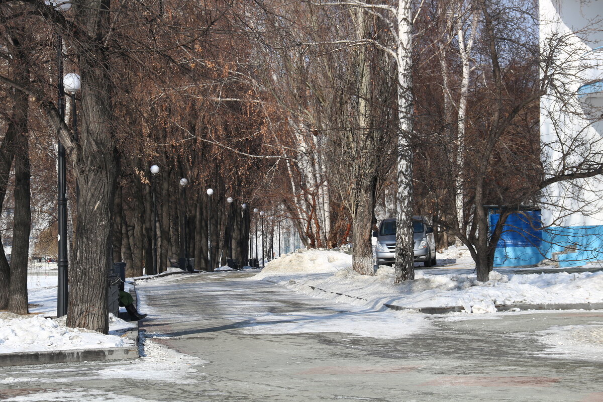 Зимняя аллея - Мишель71 