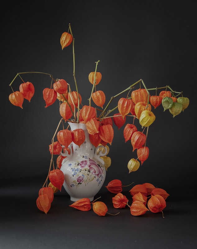 Натюрморт с физалисом. - Лилия *