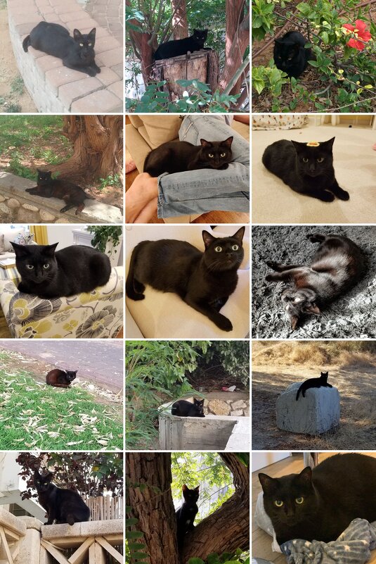 " - Светлана Хращевская