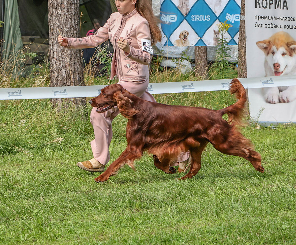 Пробежка - Анатолий Шумилин