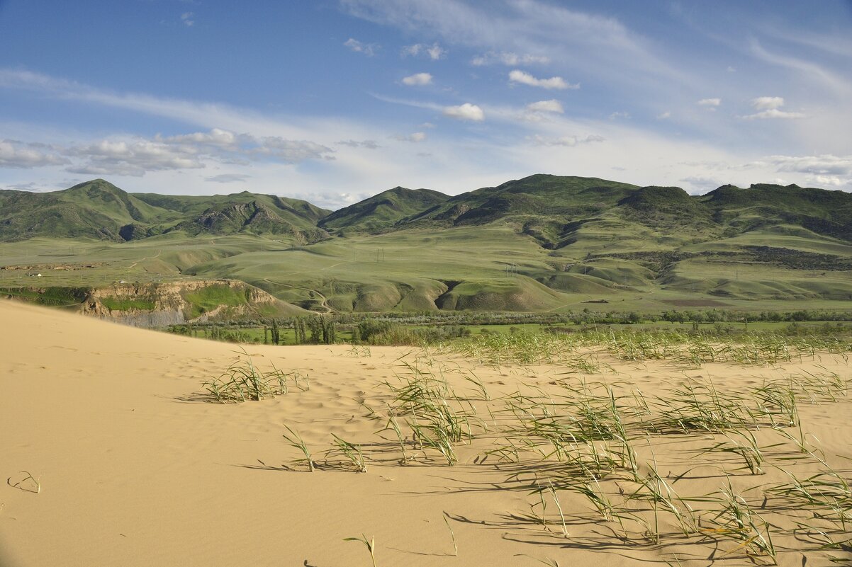 *** - Марина Виноградова