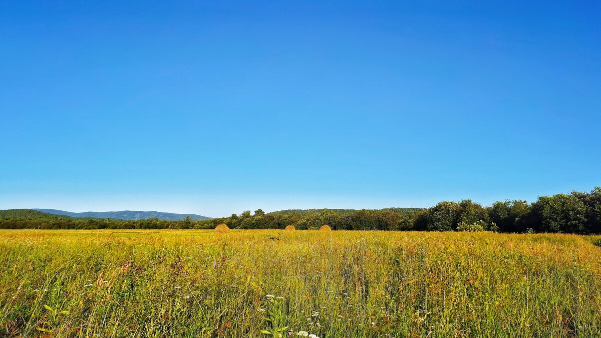 Ликует земля - Hope 