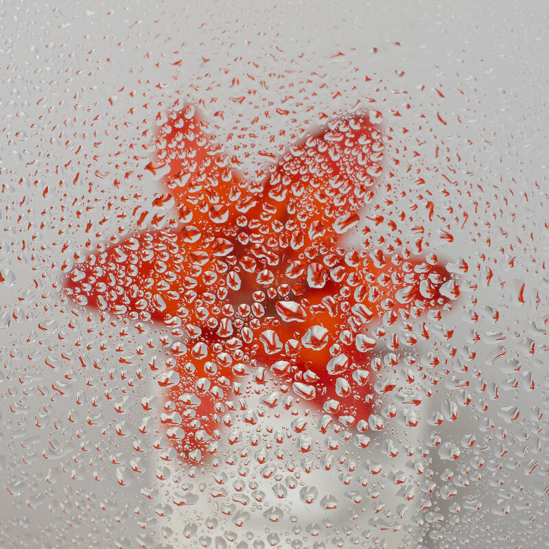 После дождя - Светлана Карнаух После дождя - Светлана Карнаух