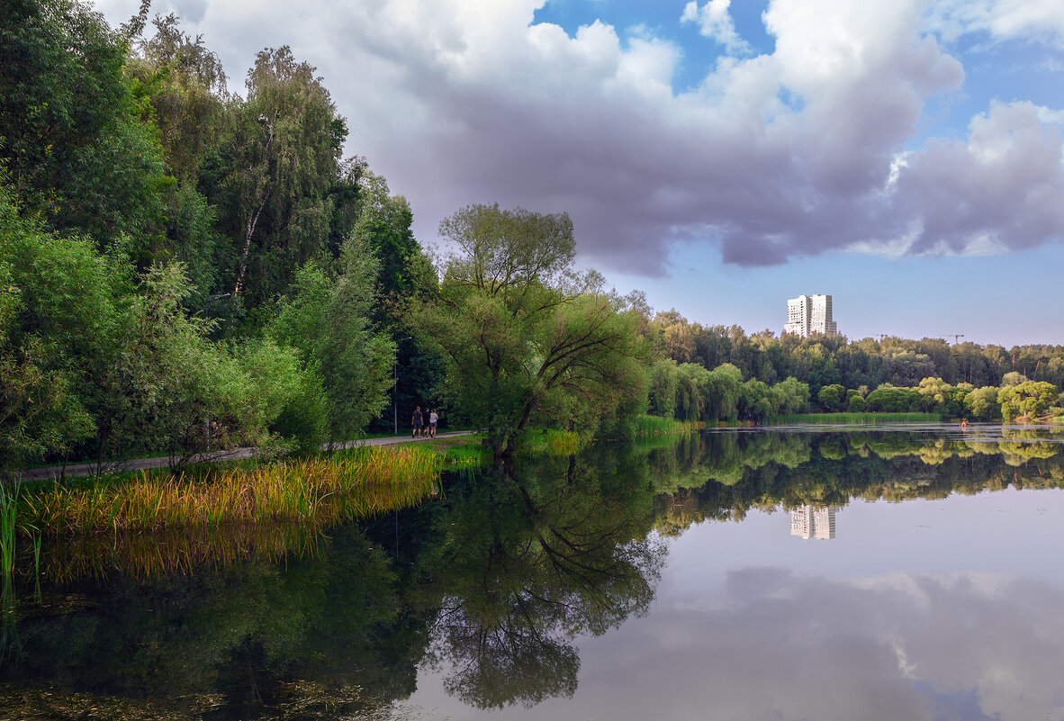 Прогулка по парку - Серый 