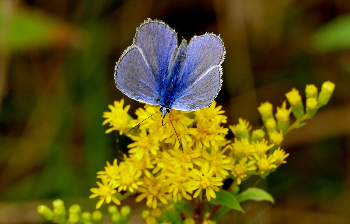 из снятого вчера 3 - Александр Прокудин