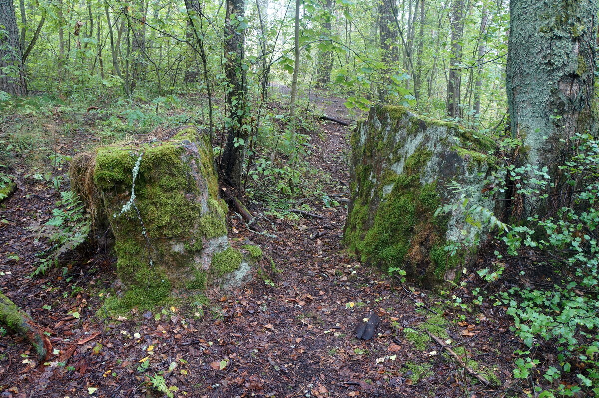 Смерть-гора - zavitok *