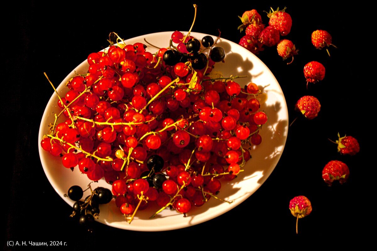 Натюрморт со смородиной - Александр Чашин Натюрморт со смородиной - Александр Чашин