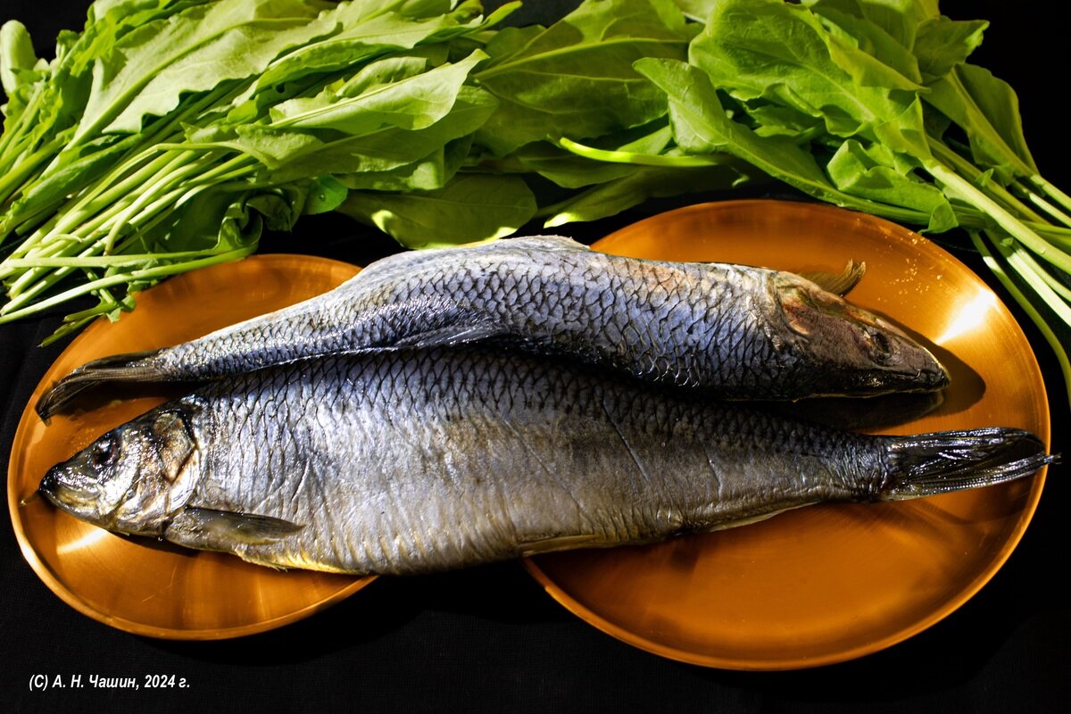 Натюрморт с рыбой - Александр Чашин