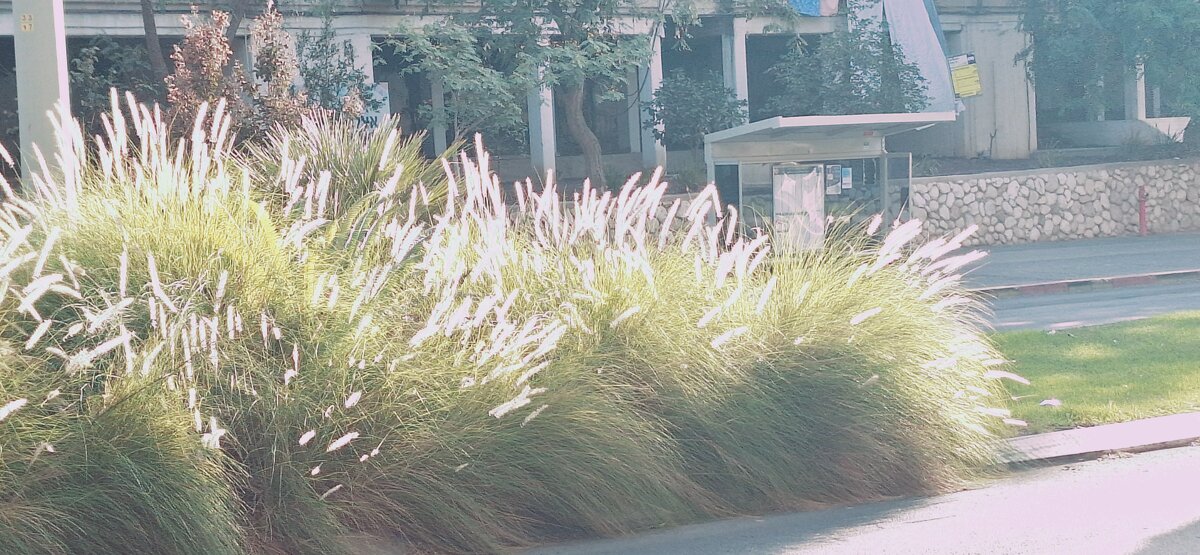 13  ОПЕН (244) - OPEN WAYS ALL