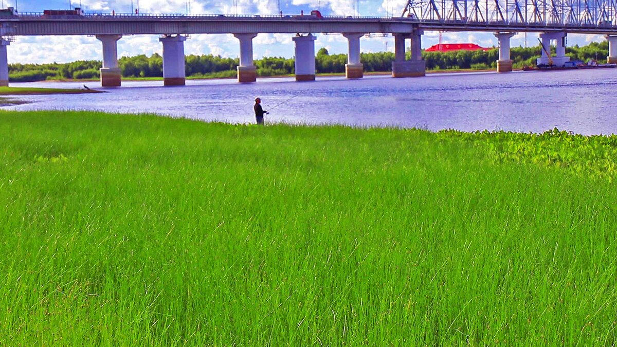 Июль...У автодорожного моста тоже клюет рыба! - Владимир 